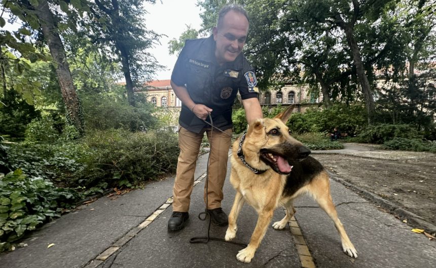 Szolgálati kutyák és lovak – az állatvédelem szerepe a bűnmegelőzésben – A különleges hiánypótló kurzus az állatvédelmi képzésben!